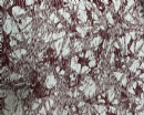 NC-1956 Two tone  nylon polyester spandex fabric