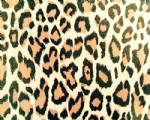 NC-522-95 LEOPARD FOIL